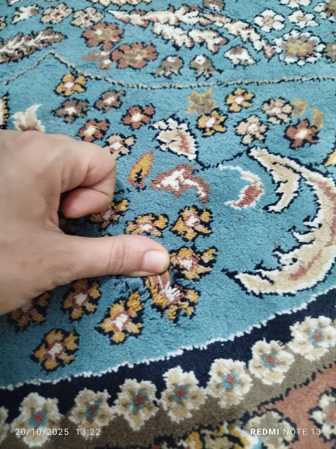 قالی دوازده متری|فرش|بندر ماهشهر, |دیوار