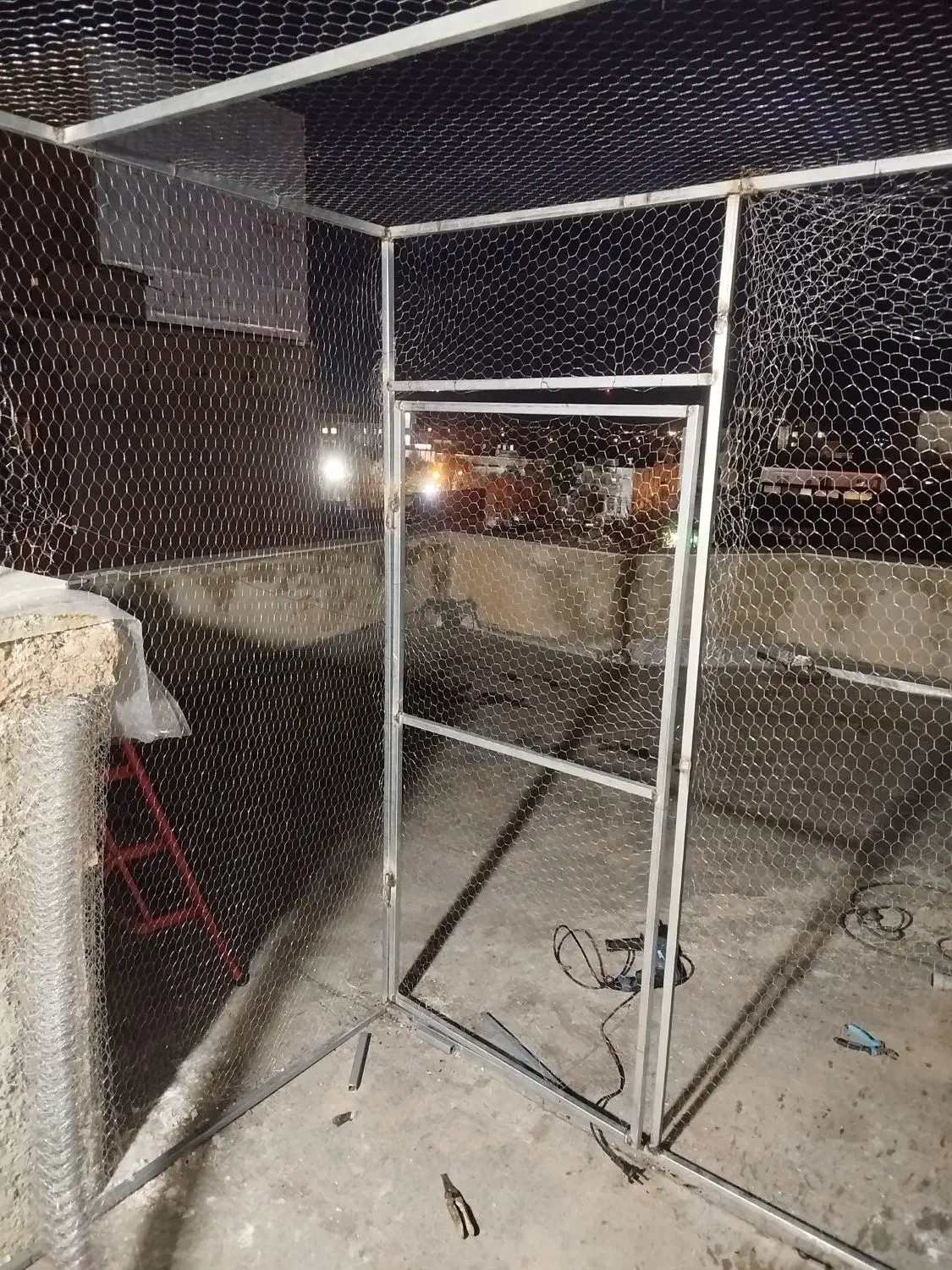 کبوتر|پرنده|بروجرد, |دیوار