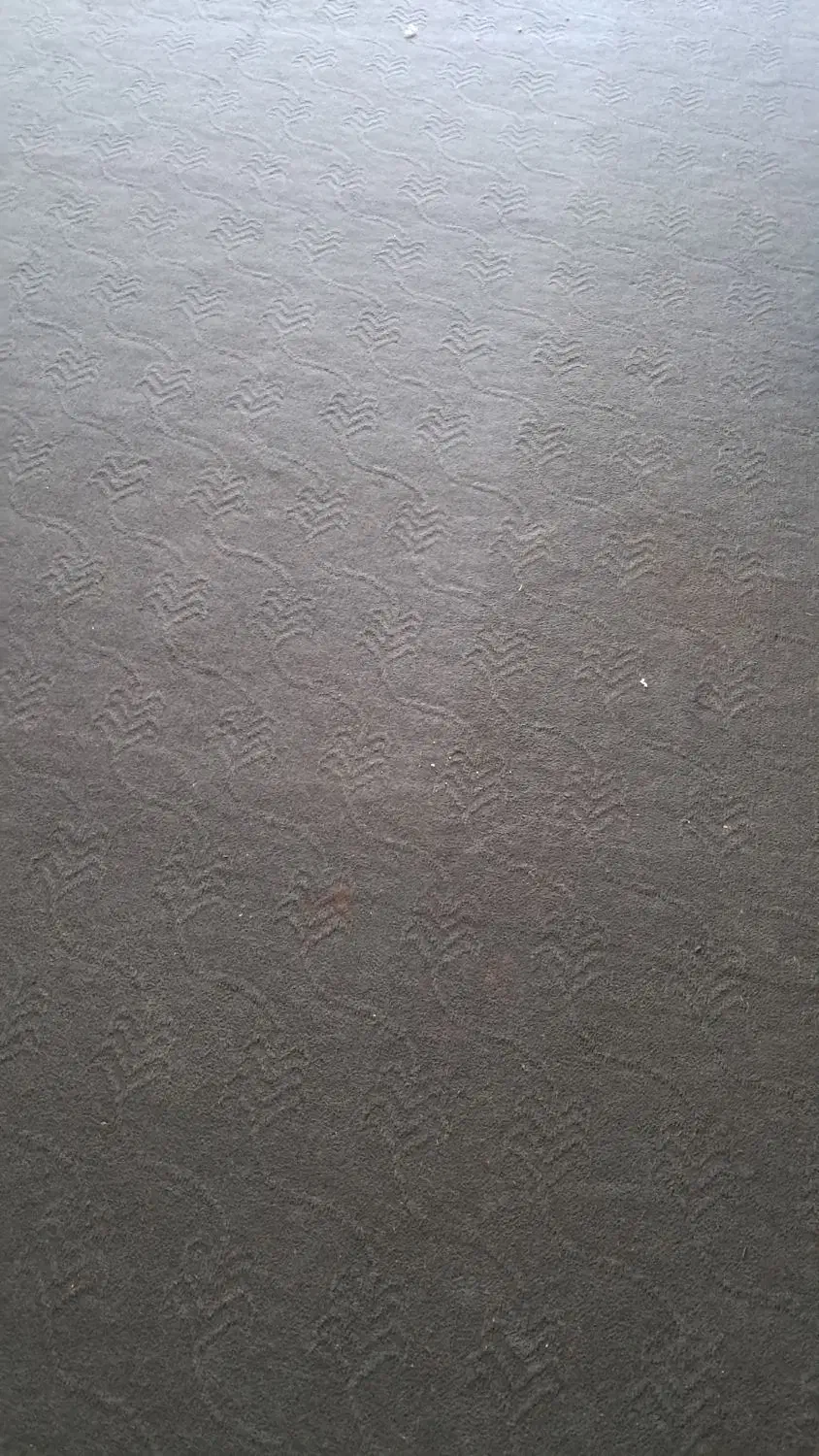 موکت پارس وپرده|موکت|نورآباد, |دیوار