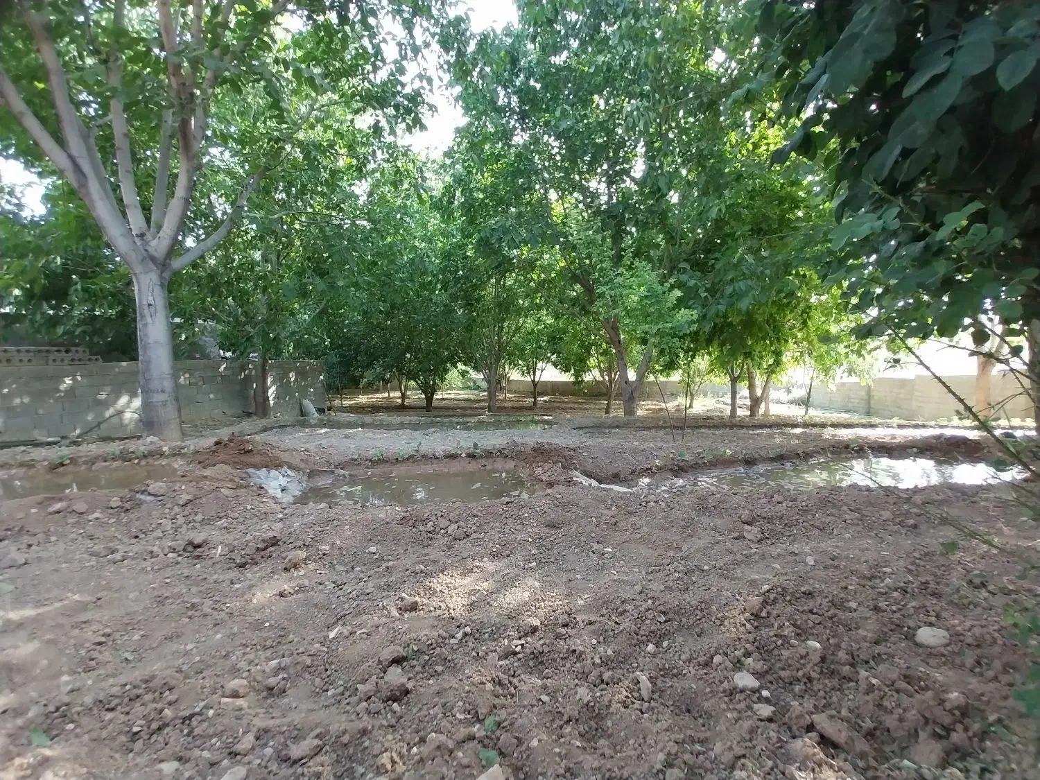 زمین با کاربری گاوداری، شهر اردل|فروش زمین و ملک کلنگی|اردل, |دیوار