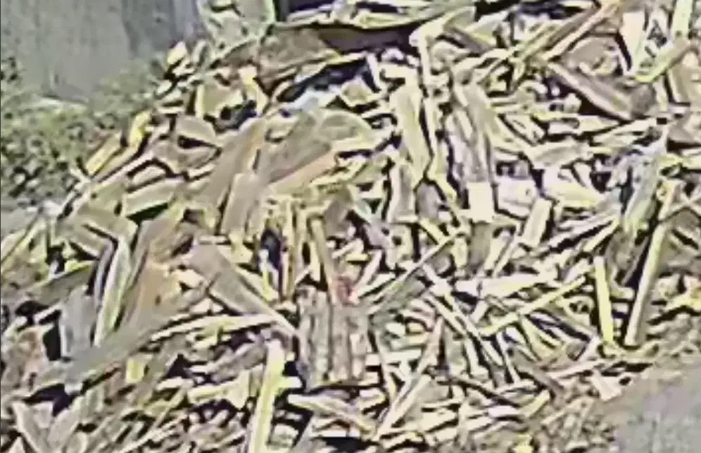 هیزم|کوهنوردی و کمپینگ|قم, قلعه صدری|دیوار