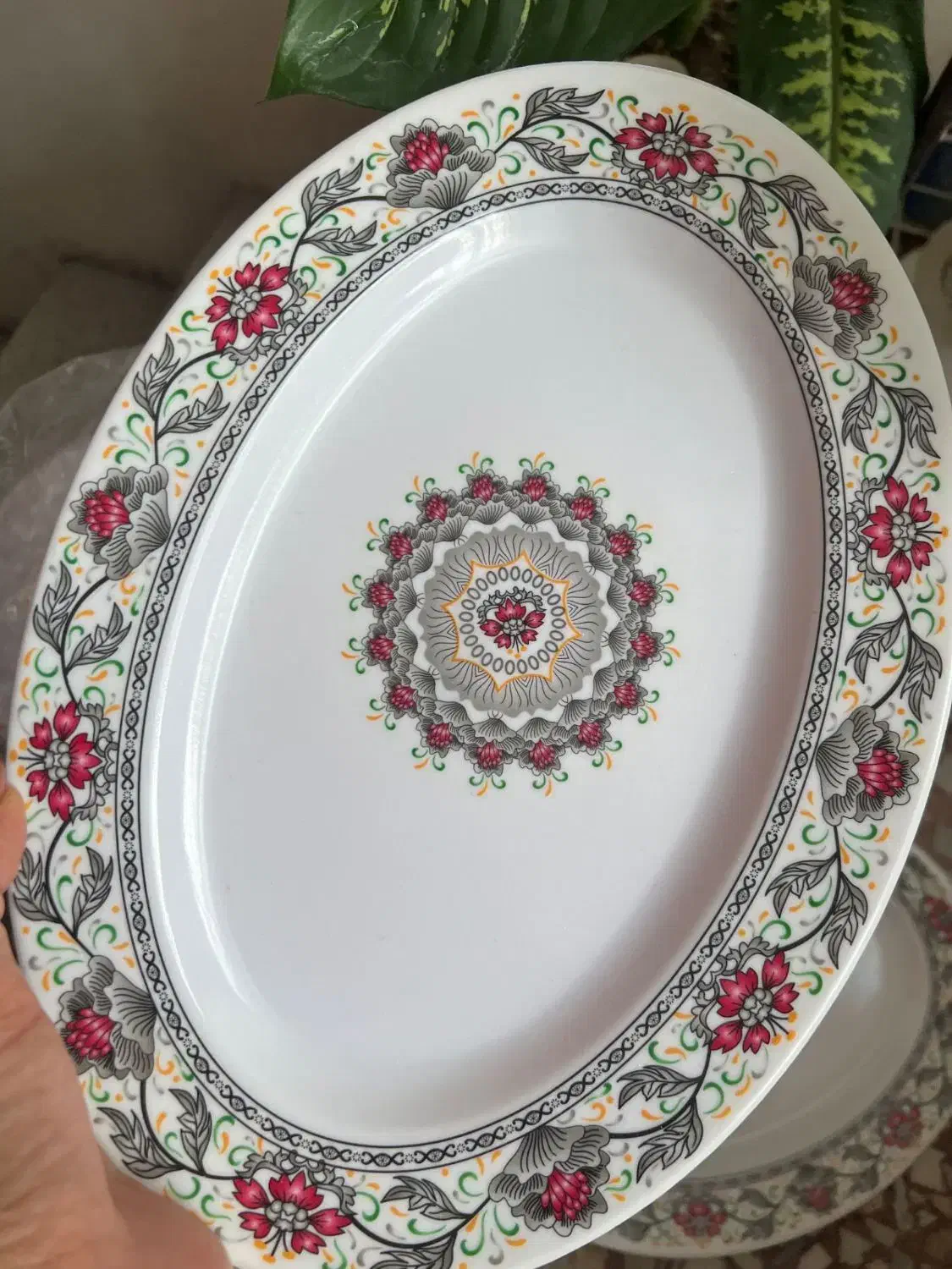 دیس|ظروف سرو و پذیرایی|بوکان, |دیوار