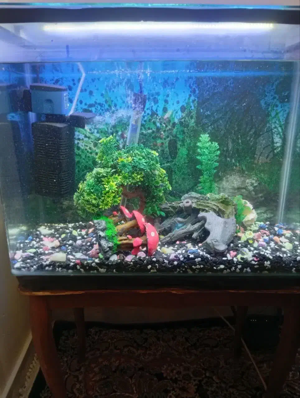 شیشه آکواریوم شرکتی خم|ماهی|تهران, قناتکوثر|دیوار