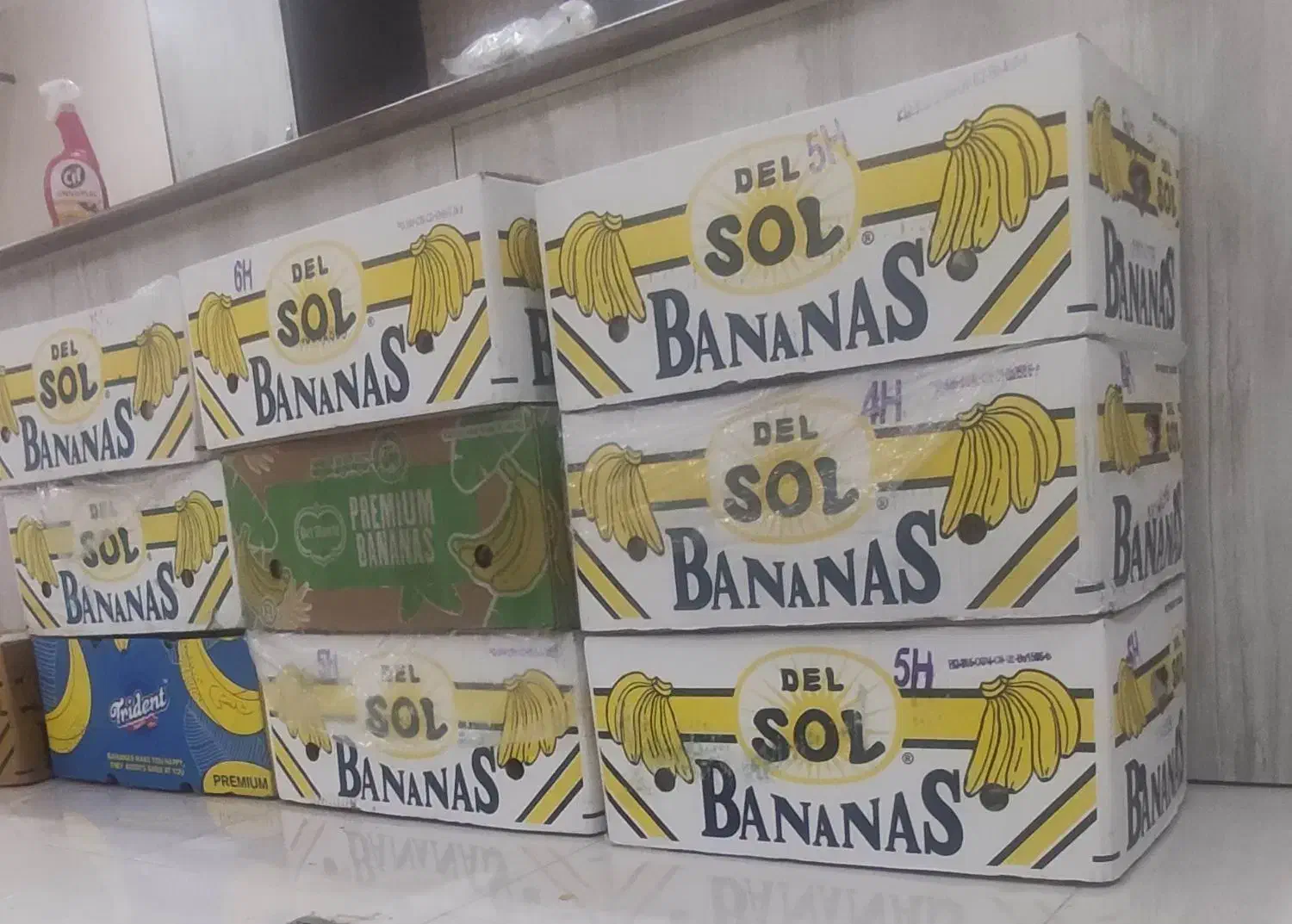 کارتن موزی نو دارای فوم و روزنامه کارتون اسباب کشی|حراج|تهران, دکتر هوشیار|دیوار