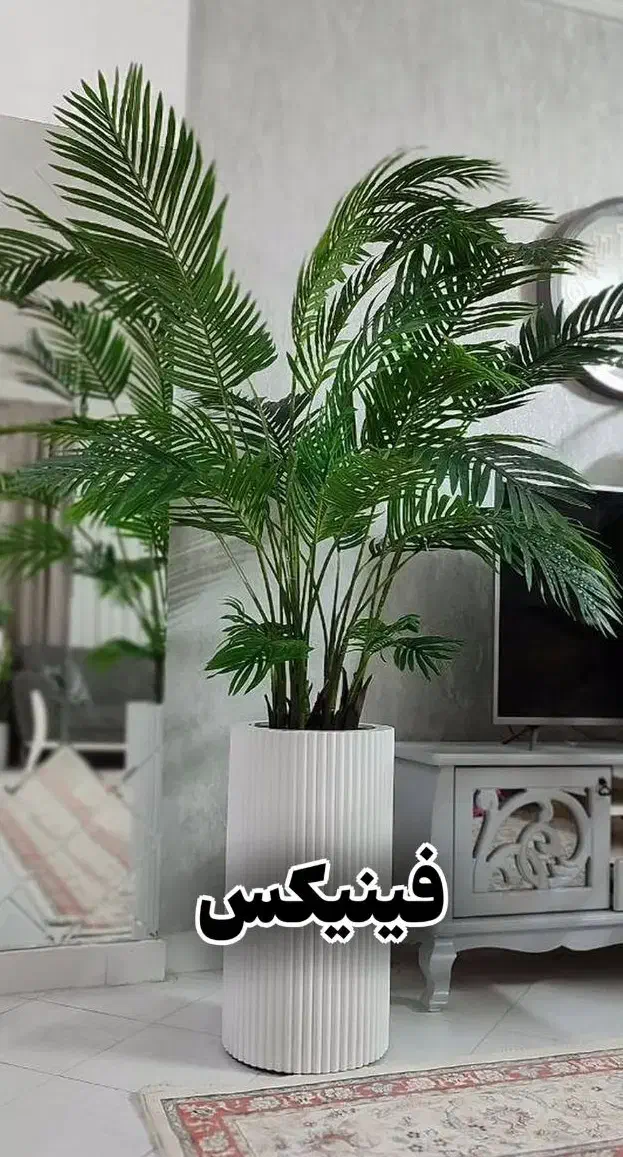 درخچه مصنوعی فینیکس|گل مصنوعی|شهرکرد, |دیوار