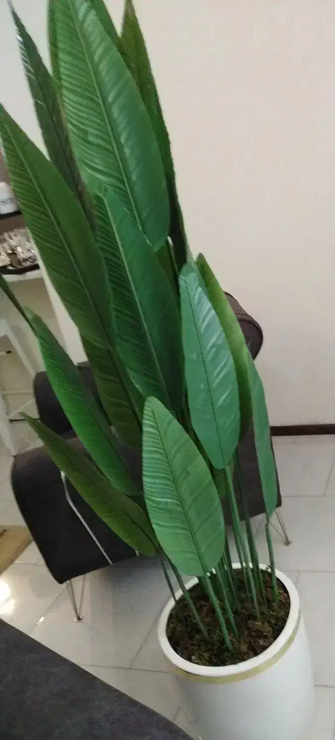 گلدان مصنوعی پرنده بهشتی|گل مصنوعی|پردیس, فاز ۱۱|دیوار