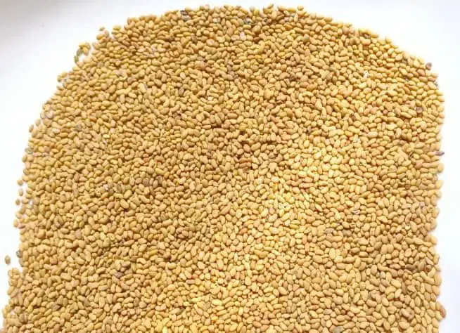 بدر یونجه درجه یک صادراتی|عمدهفروشی|شیراز, قدوسی غربی|دیوار