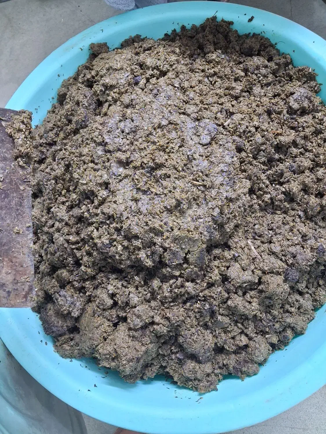 سبزی تقت داده شده|عمده‌فروشی|قم, حاج زینل|دیوار