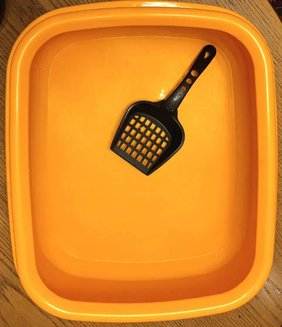 ظرف غذا و ظرف خاک گربه|گربه|کرج, فاز ۱ مهرشهر|دیوار