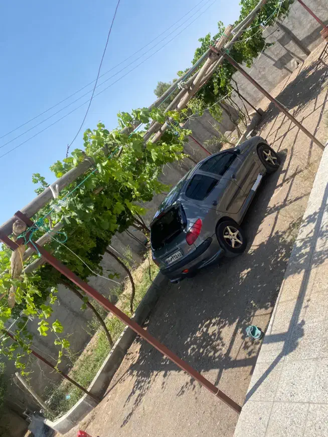 ۲۰۶ تیپ ۵ مدل ۹۳|خودرو سواری و وانت|سیرجان, |دیوار