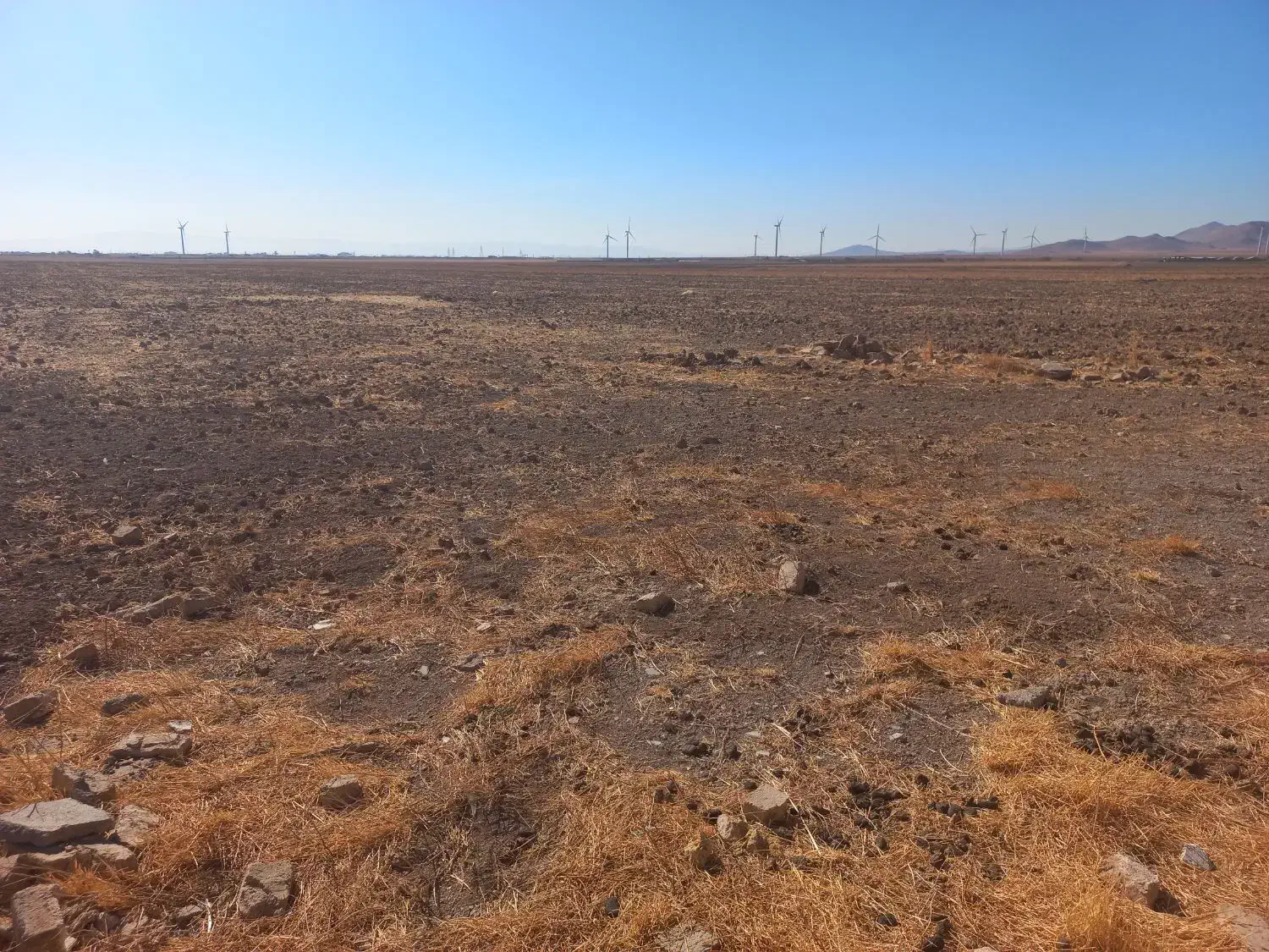 زمین کشاورزی ۳۸ هکتاری|فروش دفتر صنعتی، کشاورزی، تجاری|تاکستان, |دیوار