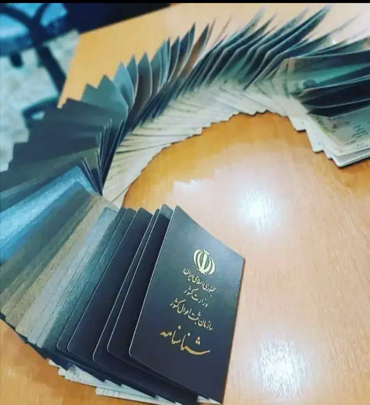 اخذ پاسپورت ایرانی برای اتباع در کشور های خارجی|خدمات مالی، حسابداری، بیمه|اصفهان, عسگریه|دیوار