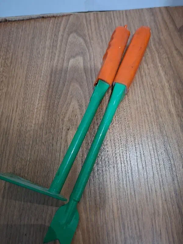 گل وگیاه|گل و گیاه طبیعی|شیراز, شهرک مهدیه|دیوار