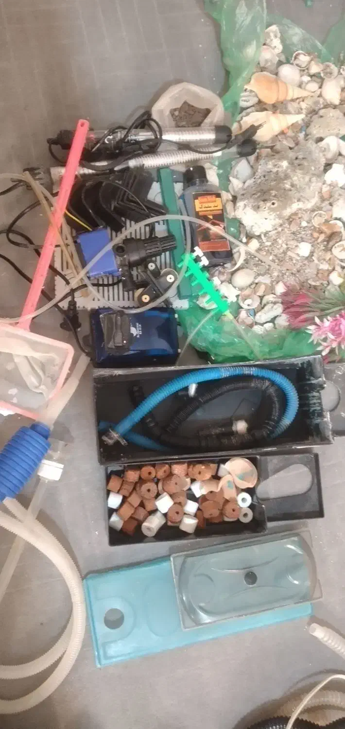 اکواریوم ماهی با همه تجهیزات|ماهی|ماکو, |دیوار