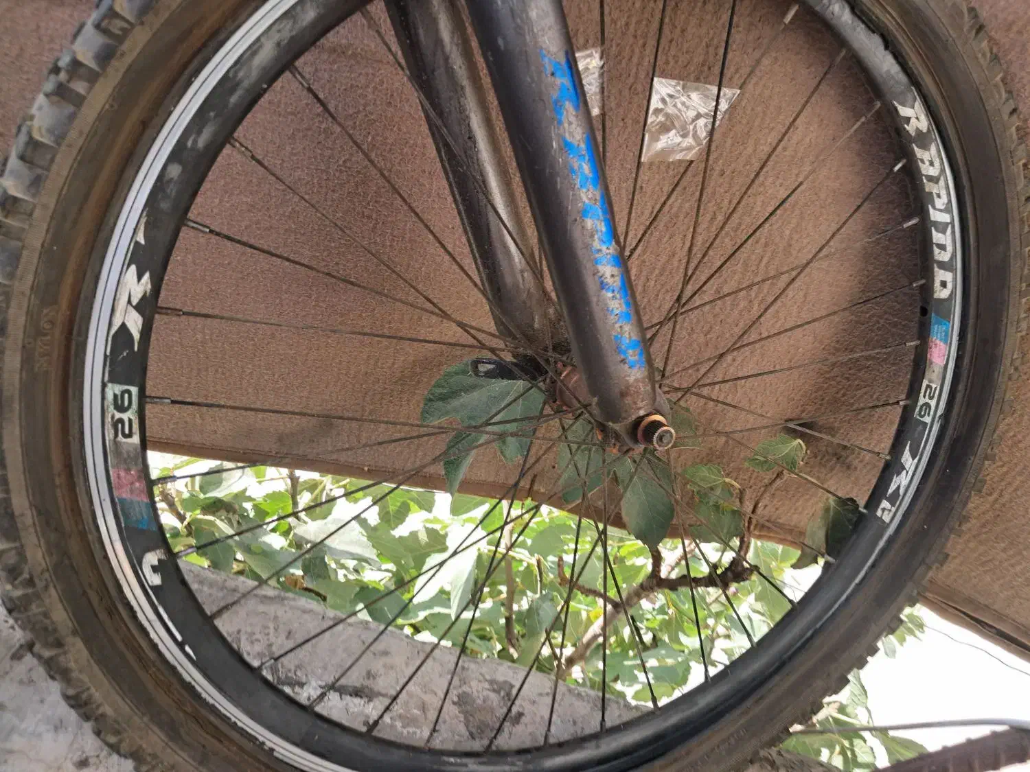 دوچرخه ۲۶|دوچرخه، اسکیت، اسکوتر|جوانرود, |دیوار