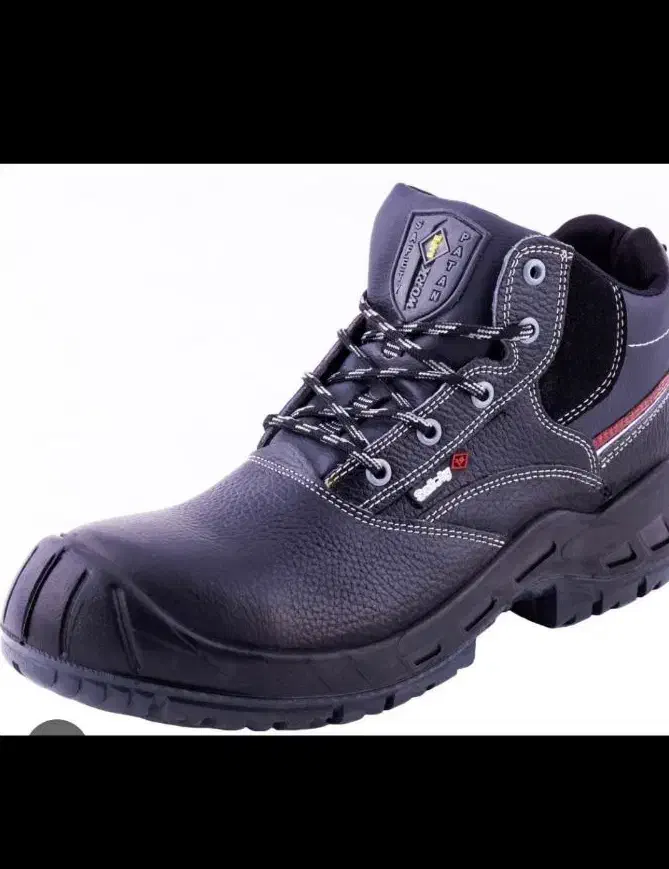 لباس مردانه|لباس|زنجان, |دیوار