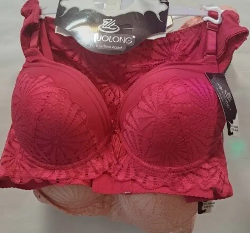 لباس زیر زنانه|لباس|تبریز, |دیوار