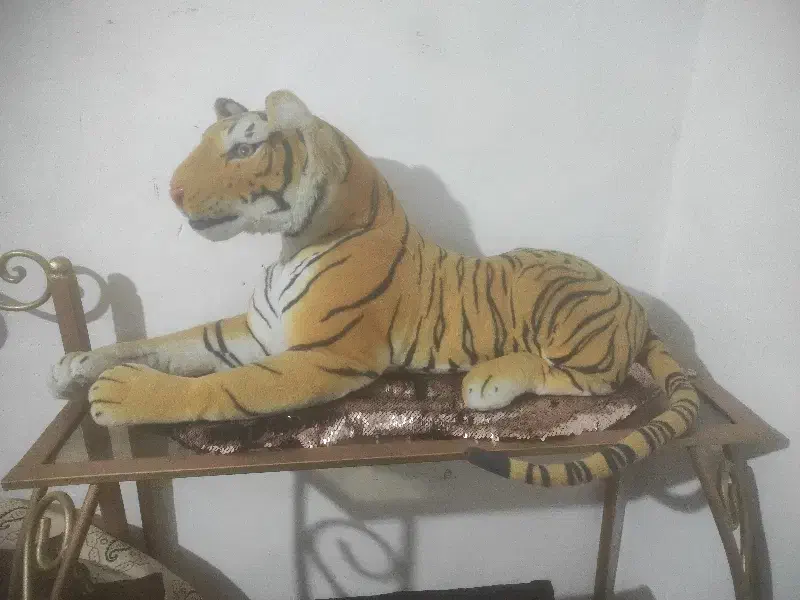 ماکت یاعروسک کلکسیونی ببرخارجی قدیمی|کلکسیون اشیاء عتیقه|کرمانشاه, |دیوار