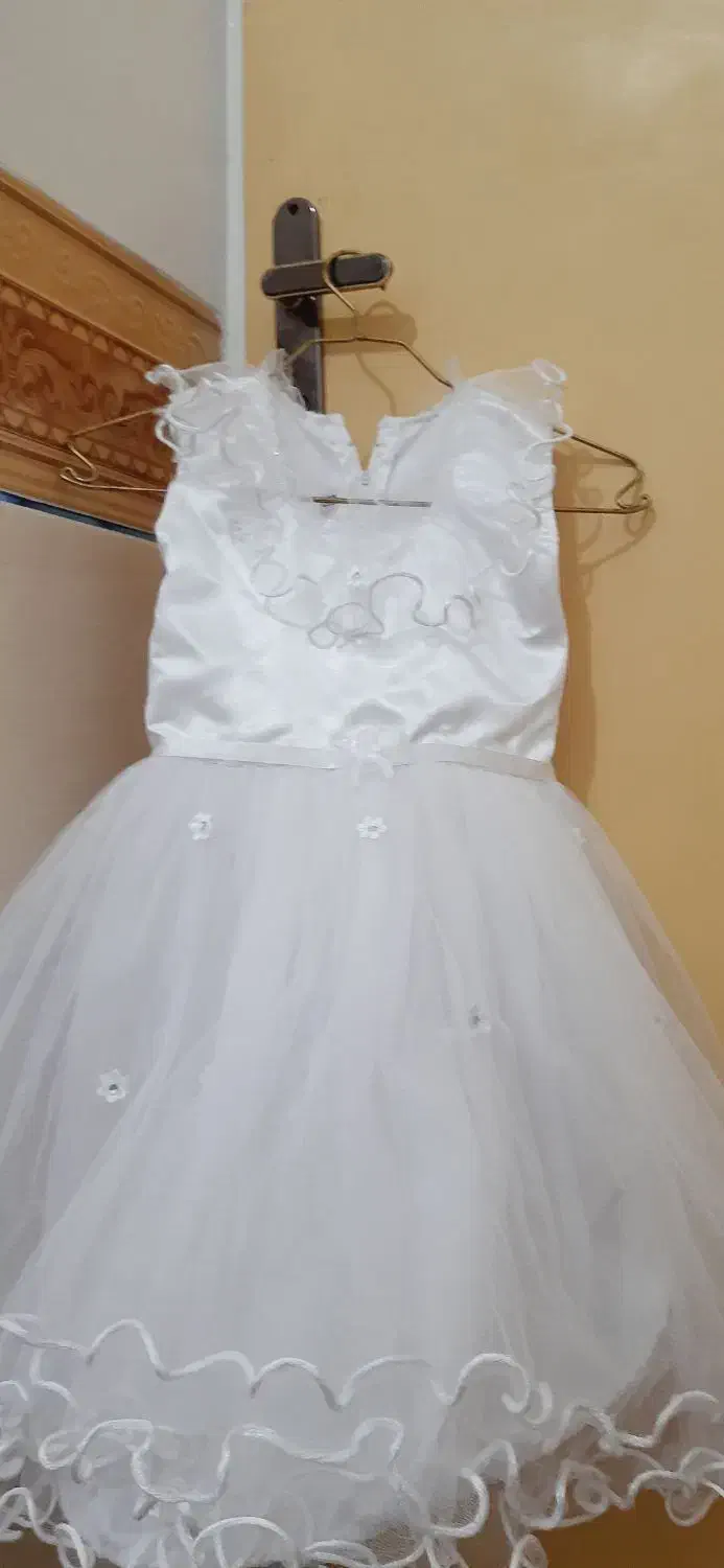 لباس مجلسی|لباس|بوشهر, |دیوار