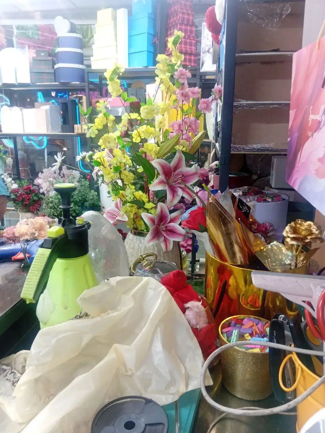 ماهر|استخدام هنری و رسانه|مشهد, کوی المهدی|دیوار