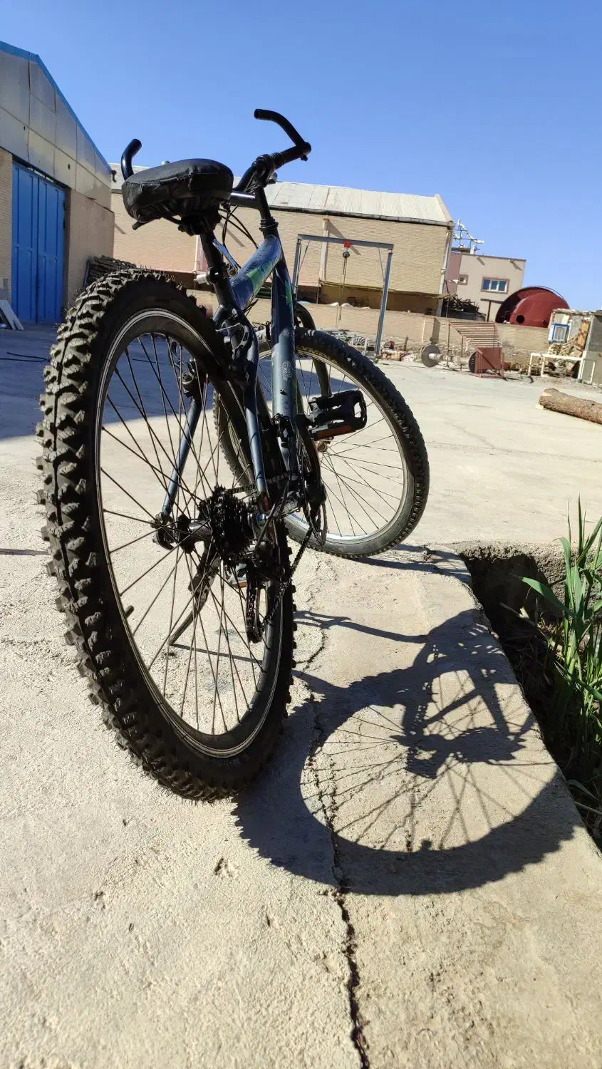 دوچرخه|دوچرخه، اسکیت، اسکوتر|زارچ, |دیوار