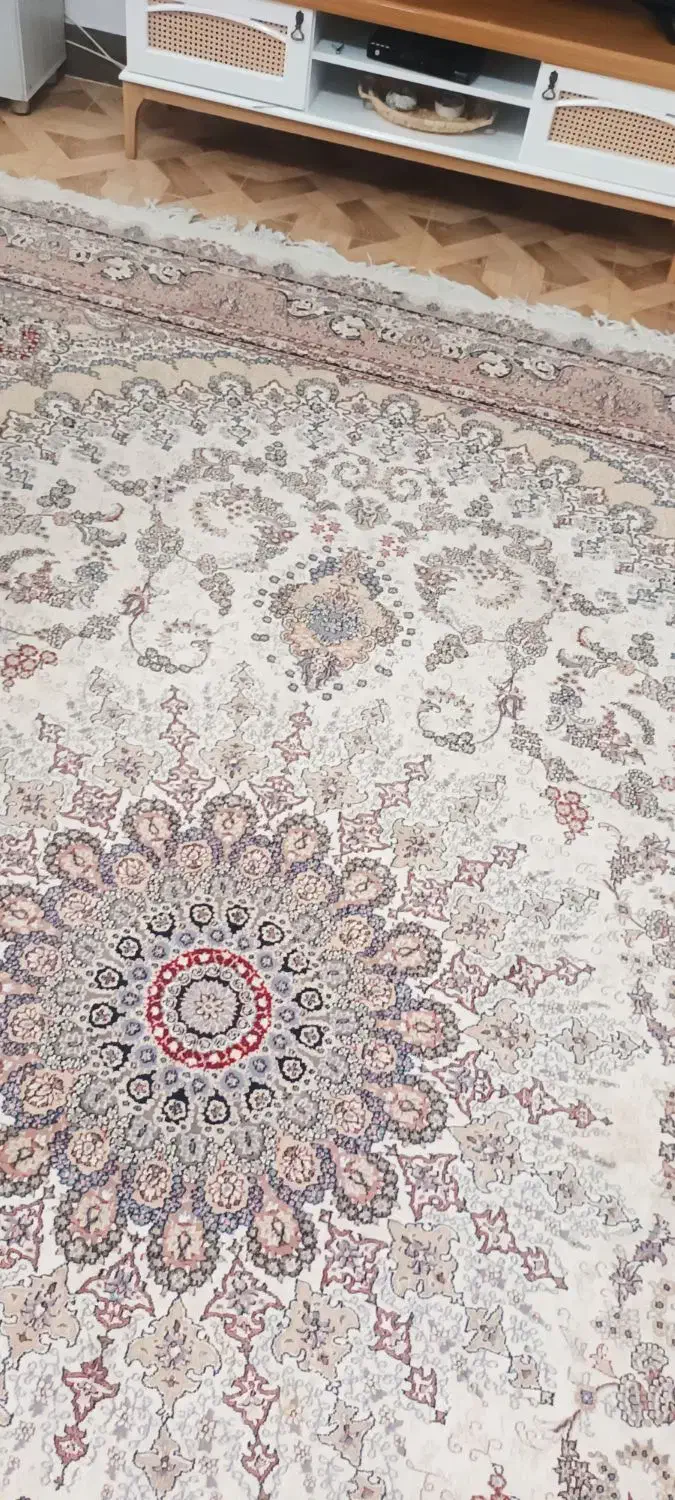 قالی ۱۲متری کرم|فرش|گالیکش, |دیوار