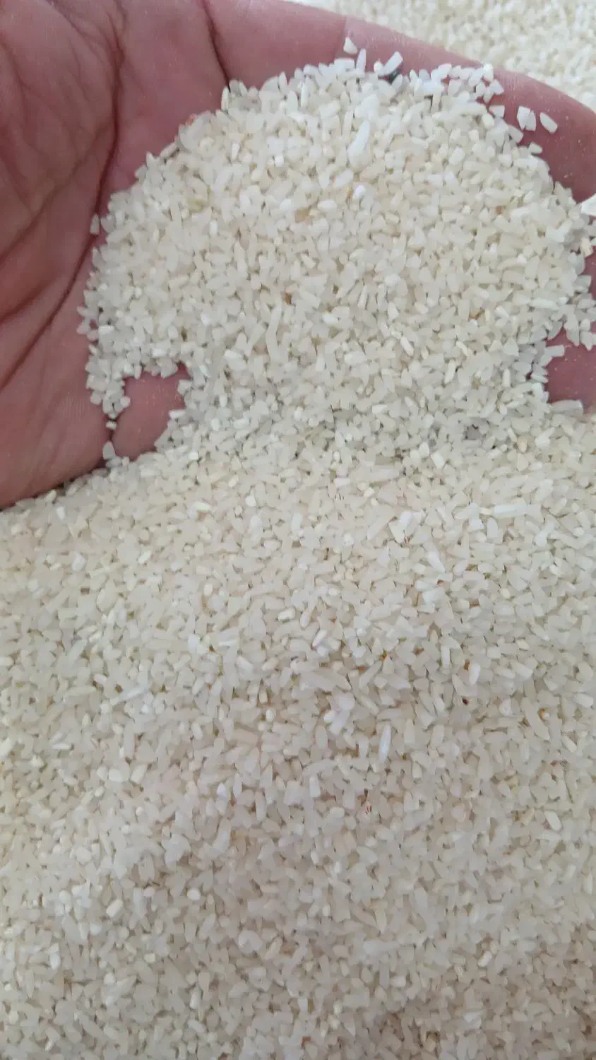 برنج و نیم دانه هاشمی|خوردنی و آشامیدنی|رشت, پیرکلاچای|دیوار