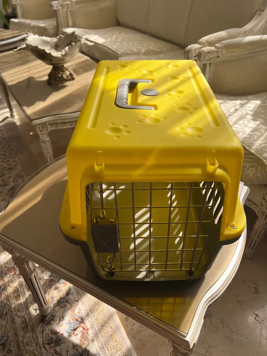 باکس حمل گربه + یک کیسه خاک گربه (هردو نو)|لوازم جانبی حیوانات|تهران, شهران شمالی|دیوار