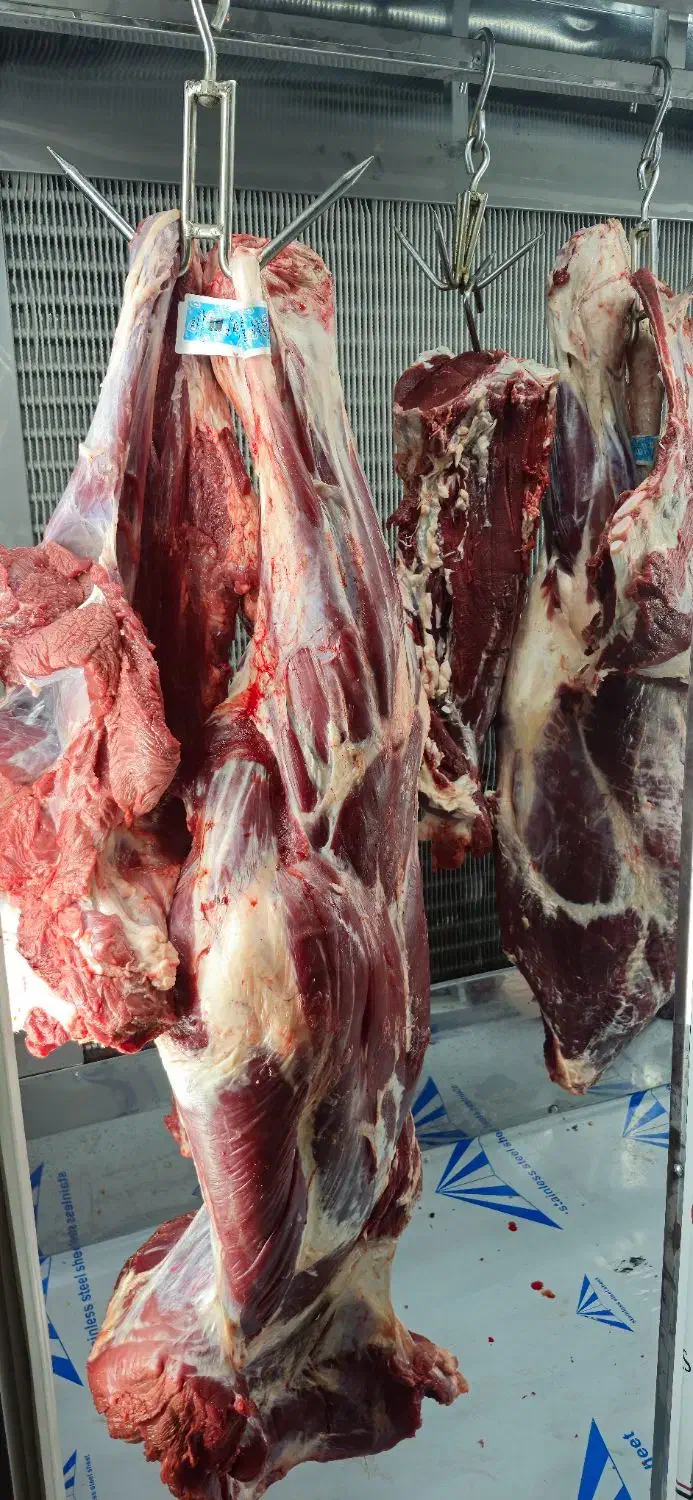 گوشت گوساله لخم تازه|خوردنی و آشامیدنی|کرج, شاهین‌ویلا|دیوار