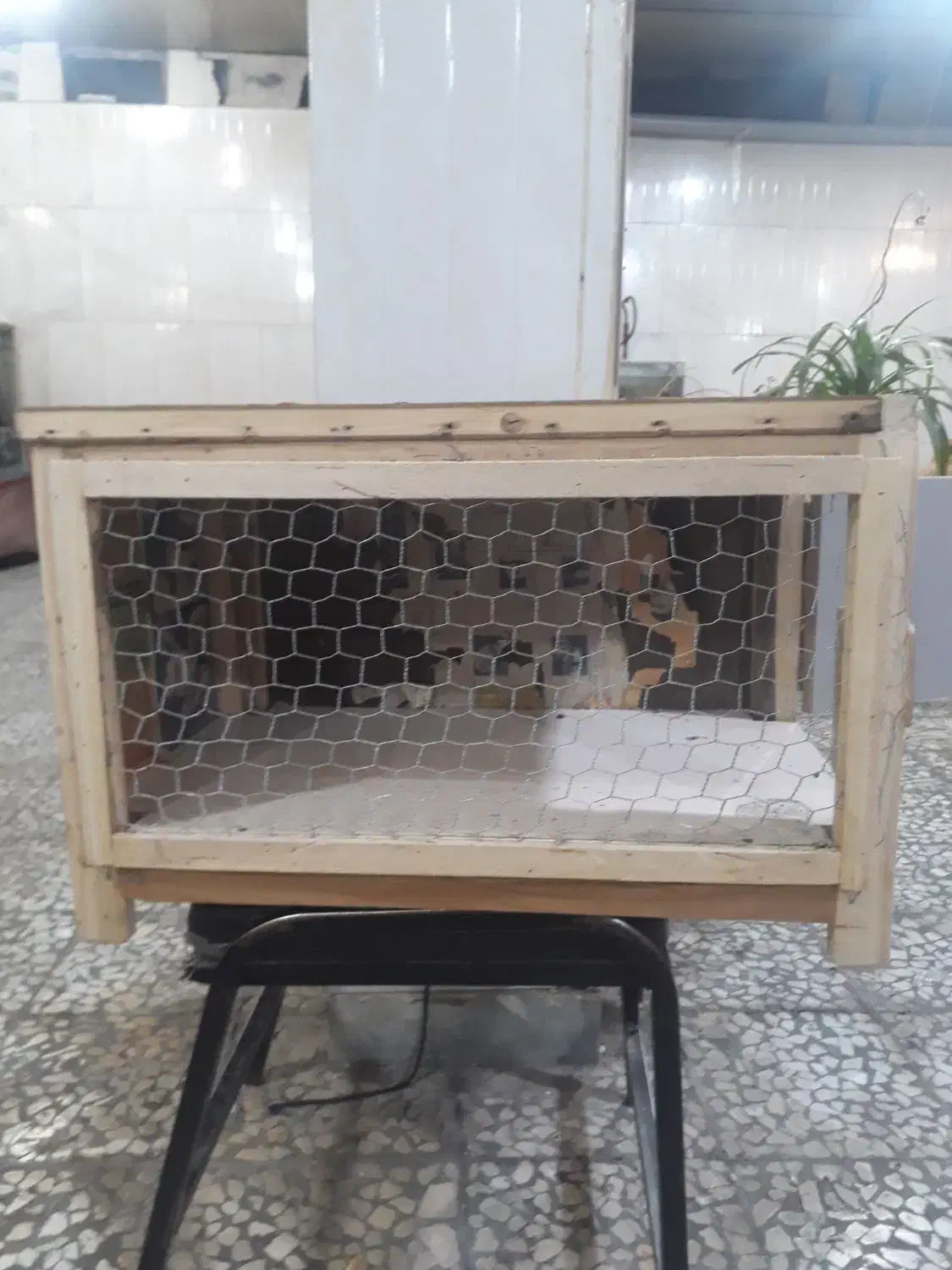 قفس چوبی|لوازم جانبی حیوانات|مبارکه, |دیوار