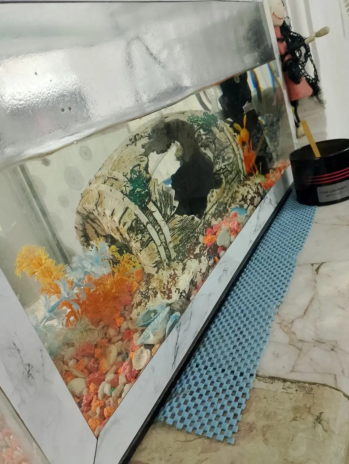 آکواریوم|ماهی|مشهد, شهرک رازی (شهرک غرب)|دیوار