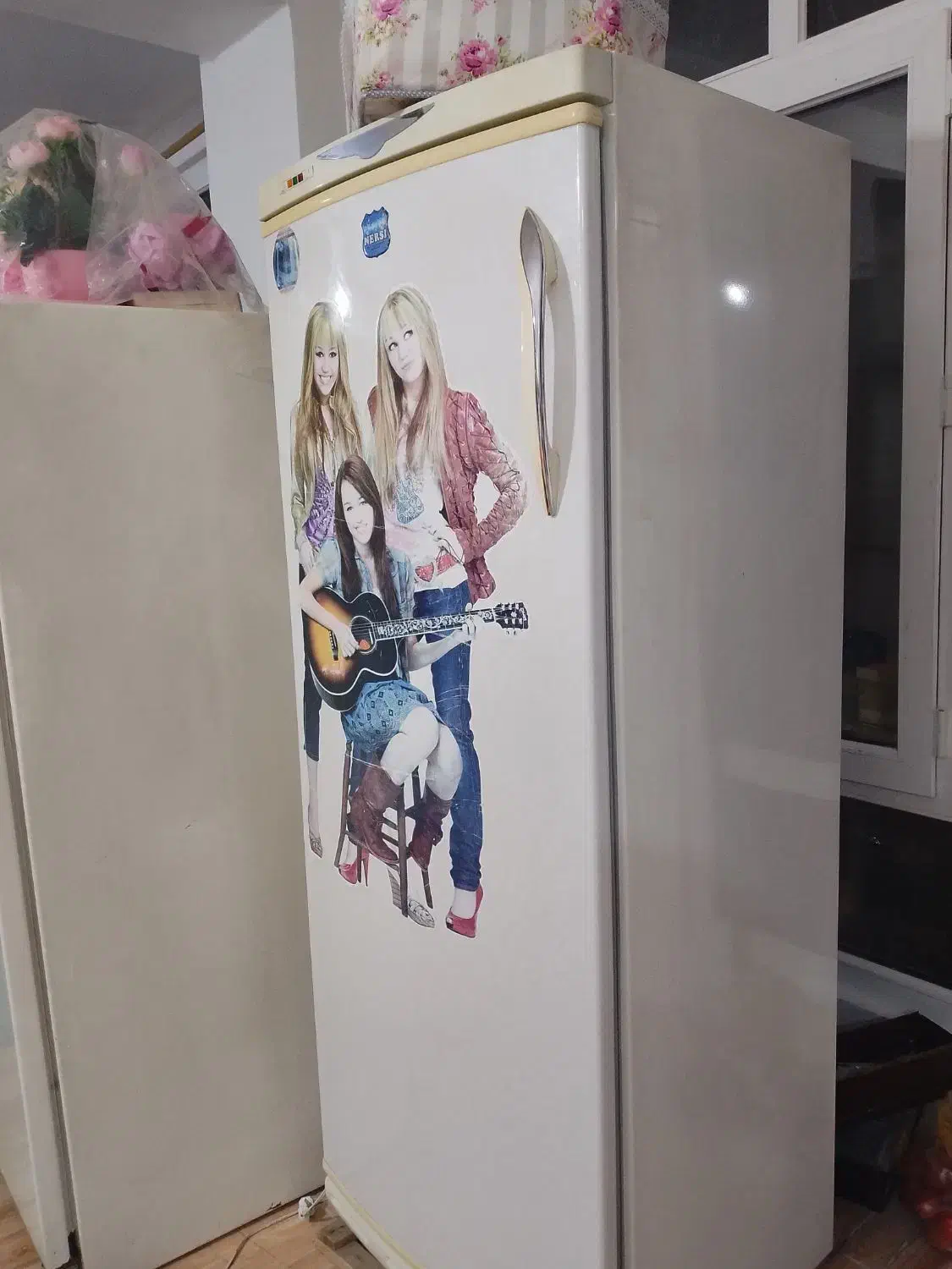 فریزر|یخچال و فریزر|تبریز, |دیوار