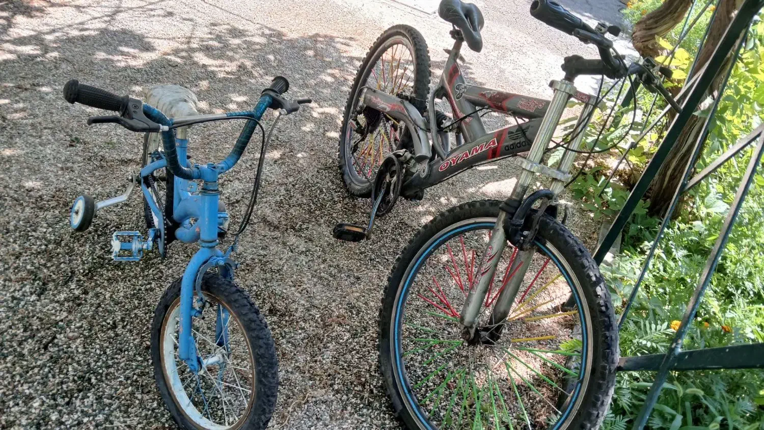 دوچرخه 24 یا26|دوچرخه، اسکیت، اسکوتر|دماوند, دماوند|دیوار