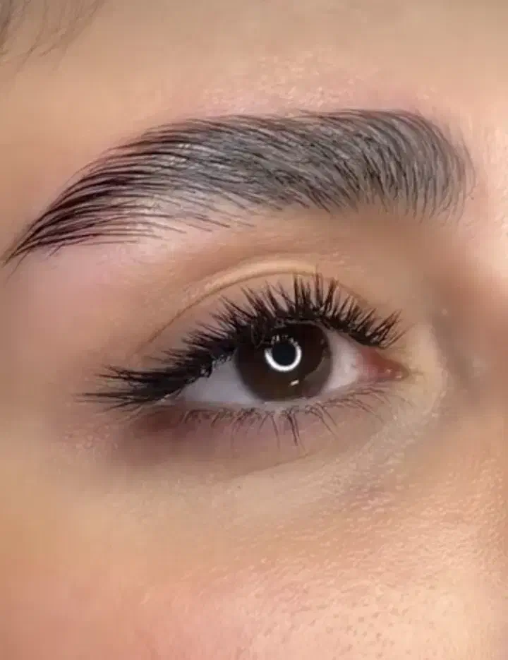 کاشت و اکستنشن مژه والیوم و خط چشمی و اسپایکی|خدمات آرایشگری و زیبایی|مشهد, فارغ التحصیلان|دیوار