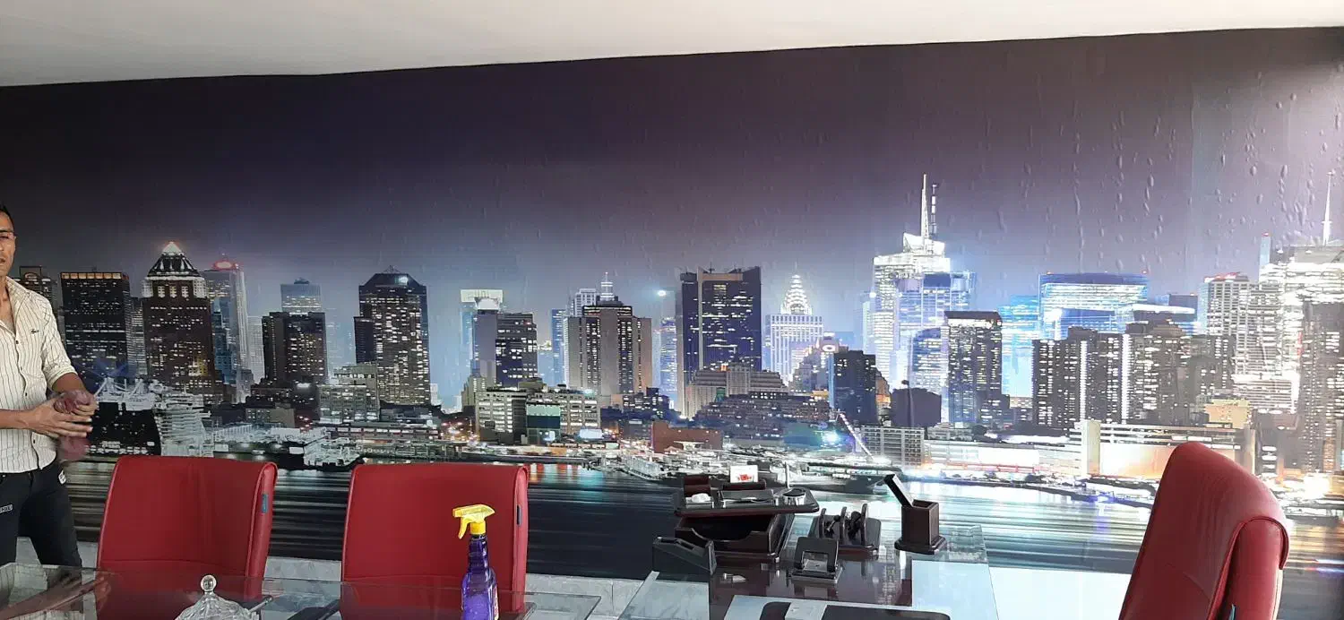 نصب کاغذ دیواری و نقاشی ساختمان|خدمات پیشه و مهارت|رودهن, |دیوار