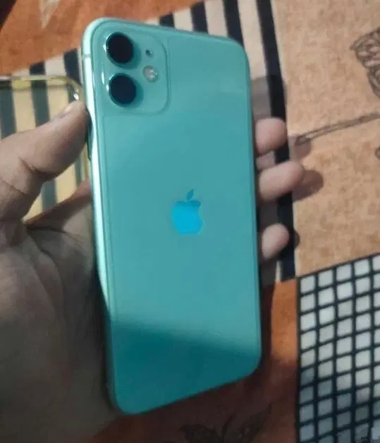 Iphone 11|موبایل|ارومیه, |دیوار