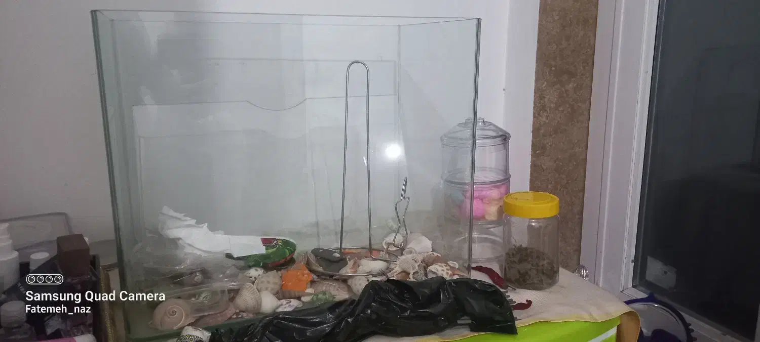 اکواریوم ماهی|ماهی|فریدون‌کنار, |دیوار