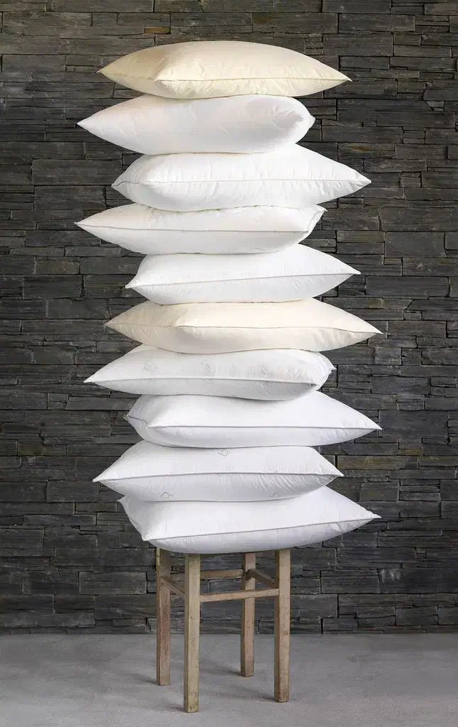 تشک میهمان|رختخواب، بالش، پتو|گلبهار, شهر جدید گلبهار|دیوار