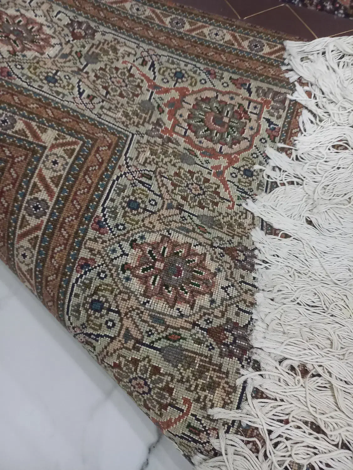 جفت ۶ متری ماهی تبریز طرح افسری ۹ متن|فرش|تهران, باشگاه نفت|دیوار