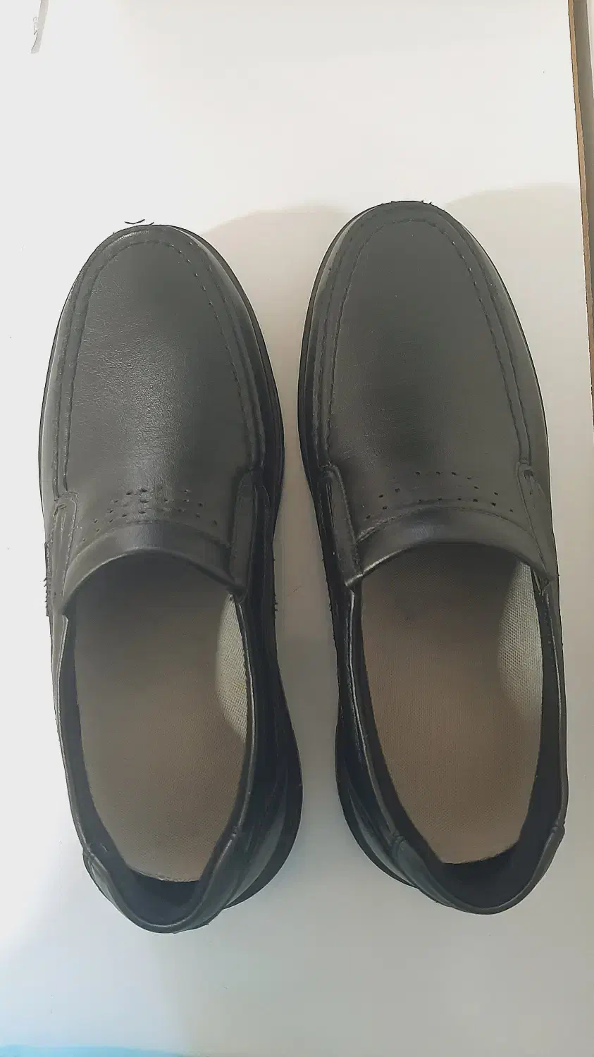 کفش مردانه pasargad|کیف، کفش، کمربند|دورود, |دیوار