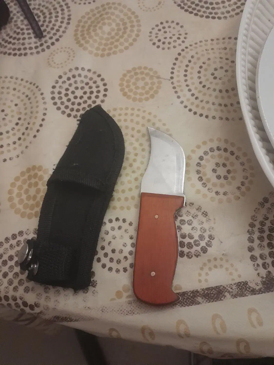 چاقو کارد با غلاف|کوهنوردی و کمپینگ|پردیس, فاز ۳|دیوار