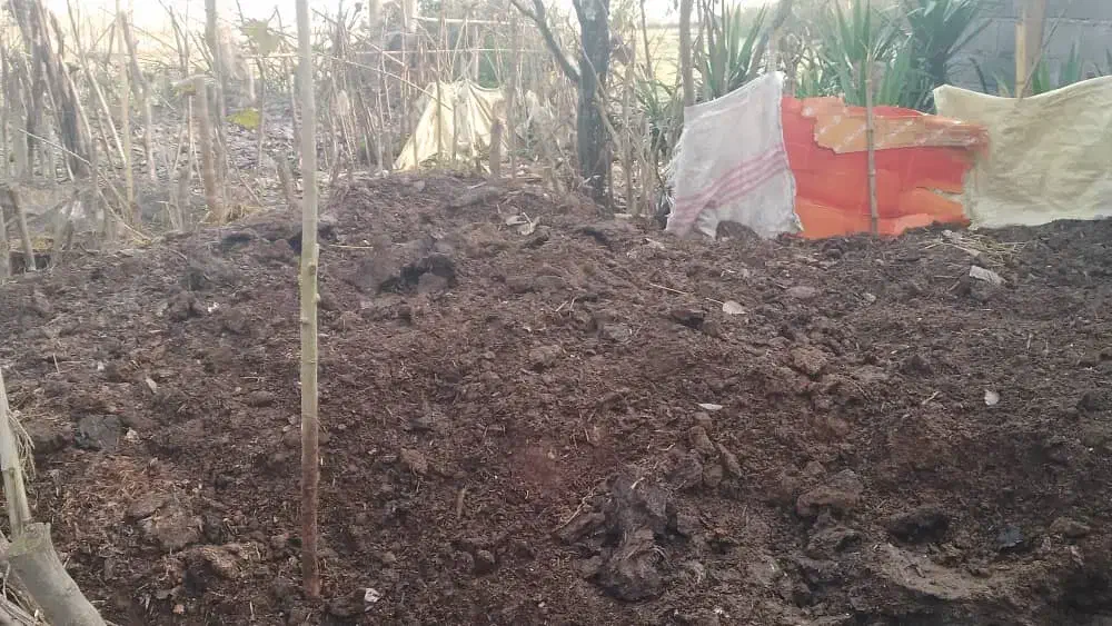 کود حیوانی مخصوص باغ و نشاه گلدانی|خدمات باغبانی و درختکاری|لولمان, |دیوار