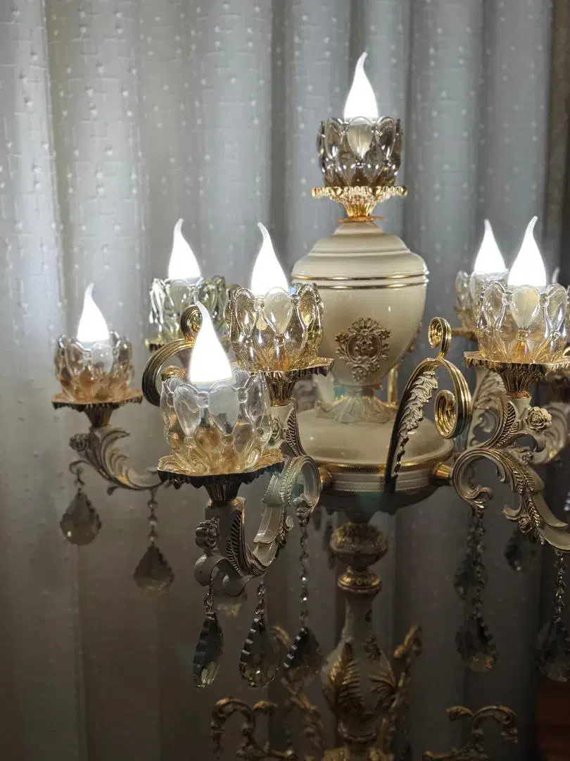 لوستر کنار سالنی سلطنتی|لوستر و چراغ آویز|اهواز, فرهنگ شهر|دیوار