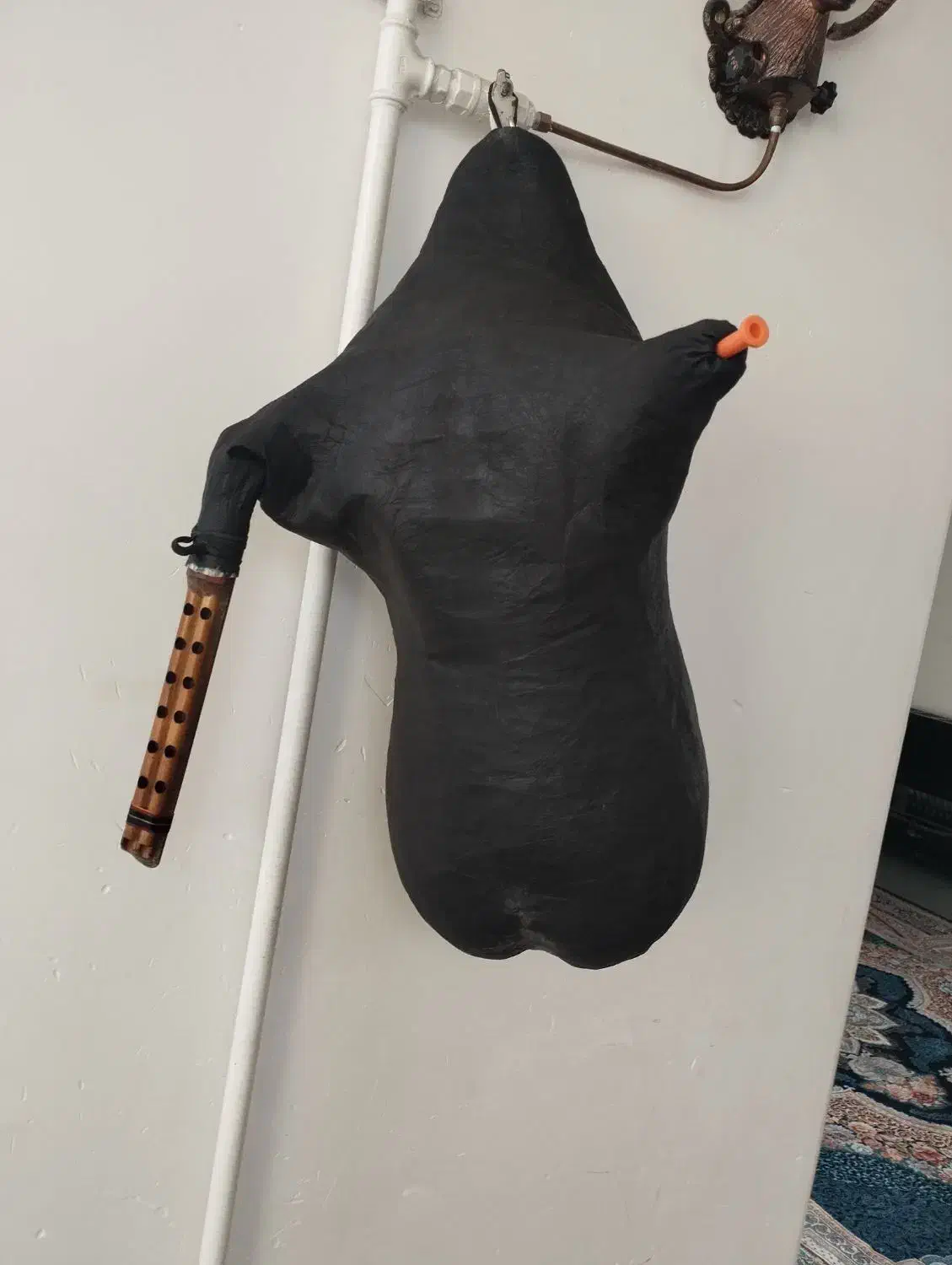 عکس اول نمایش هست معاوضه با پرنده|پرنده|زرقان, |دیوار