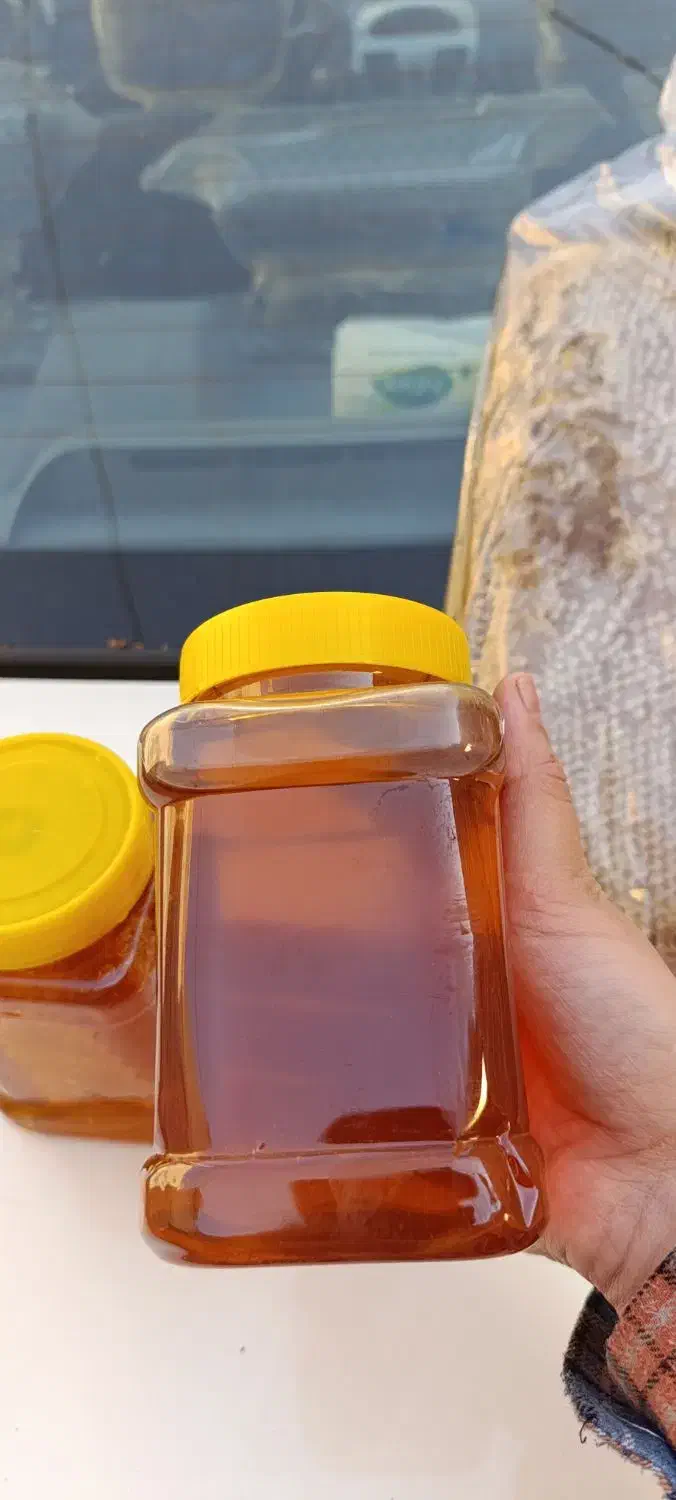 عسل طبیعی اردبیل مشگین شهر|خوردنی و آشامیدنی|قرچک, داوود آباد|دیوار