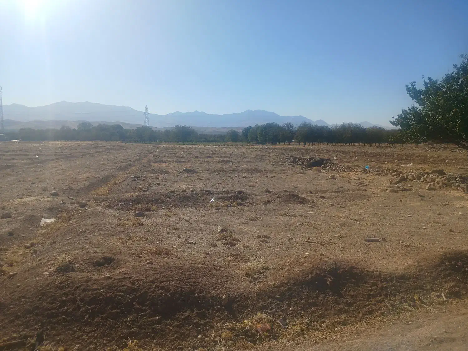 فروش چند قطعه زمین...|فروش زمین و ملک کلنگی|نهاوند, |دیوار