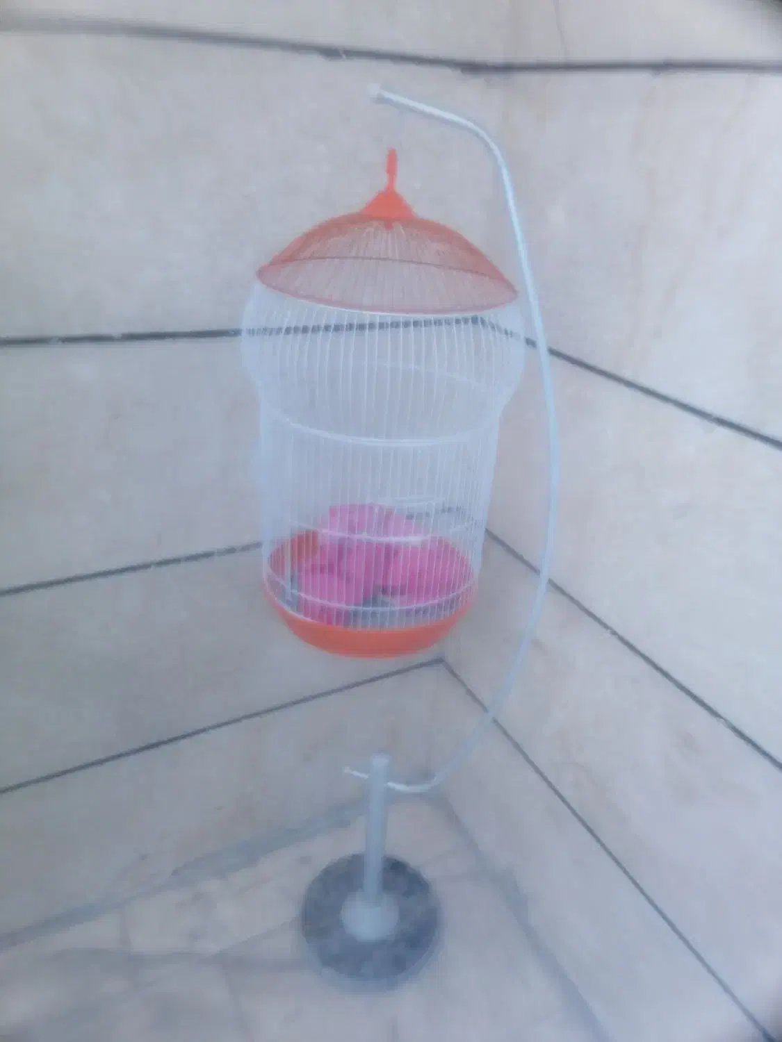 قفس پایه دار پرنده زینتی|لوازم جانبی حیوانات|فردیس, شهرک راه آهن|دیوار