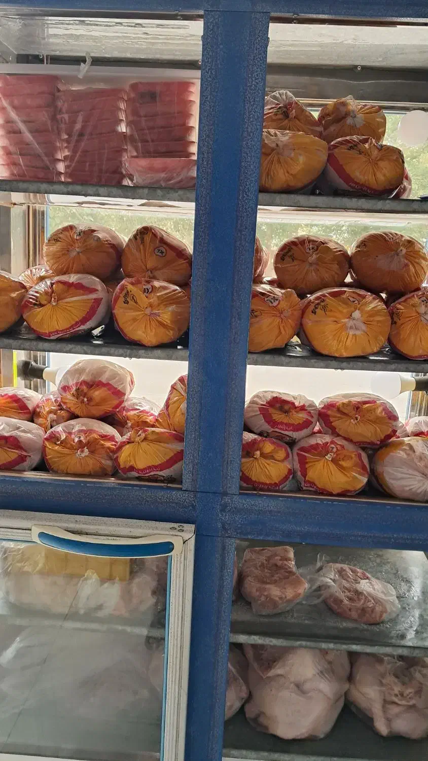 فروش یخچال مرغی|یخچال و فریزر|اردبیل, |دیوار