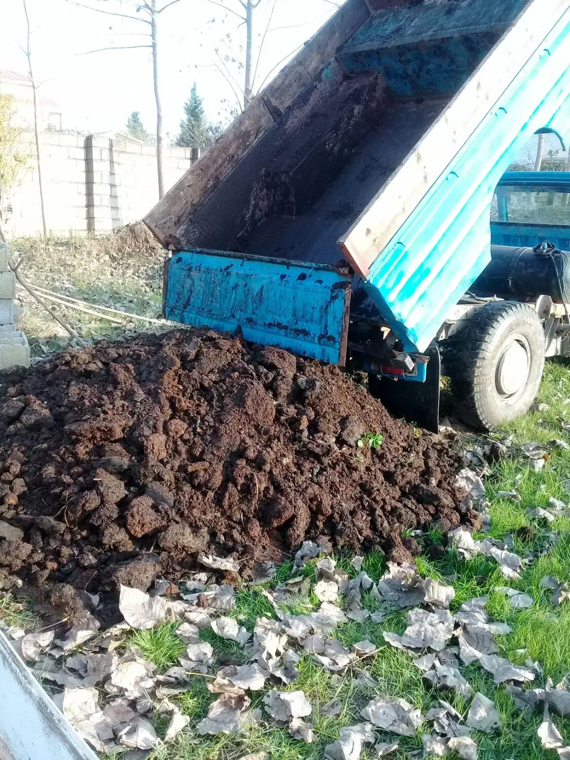 فروش کود حیوانی خاک برگ خاک باغچه و...|خدمات باغبانی و درختکاری|لنگرود, |دیوار