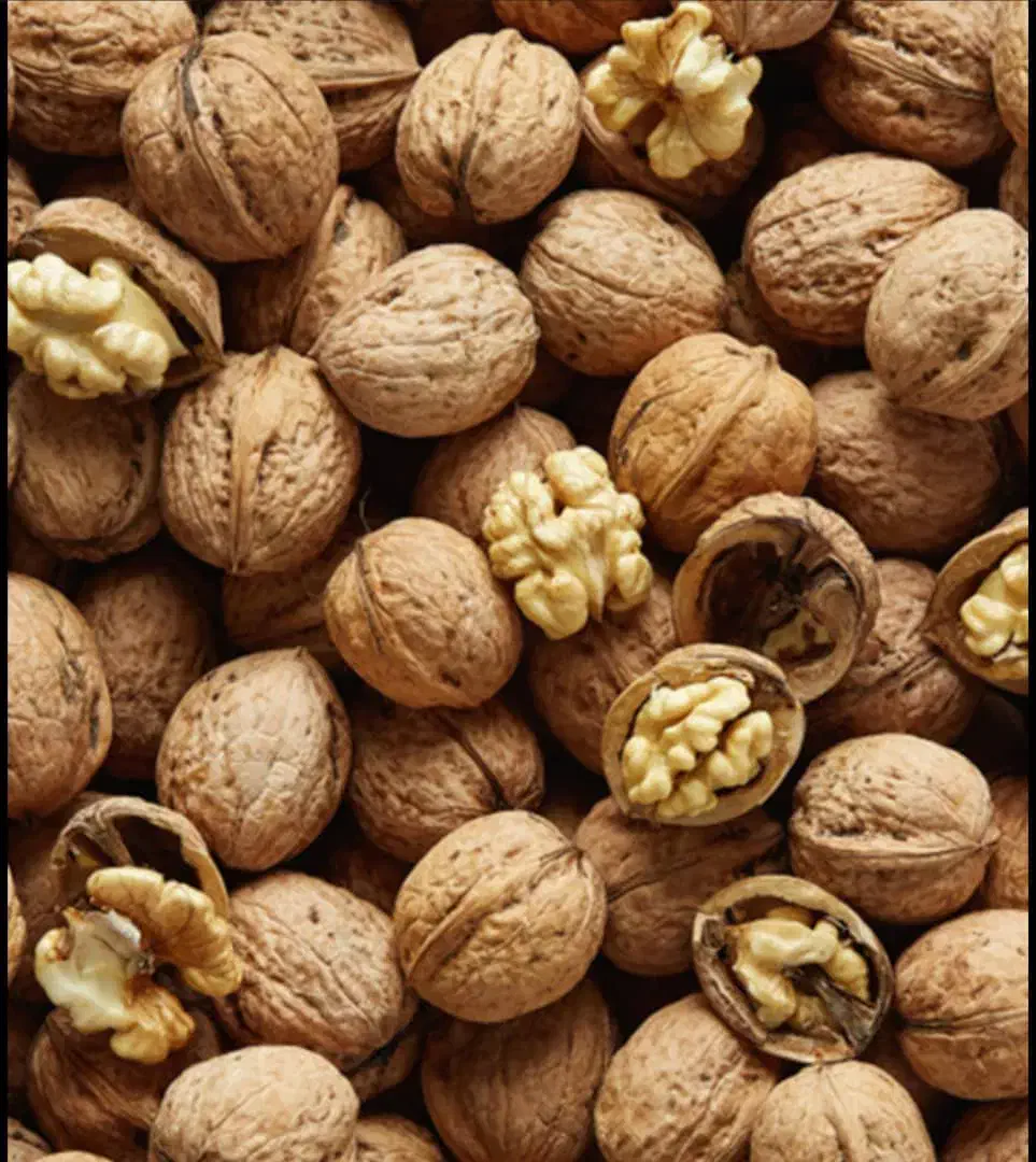 گردو نیمه کاغذی تازه امسال با تناژ بالا|خوردنی و آشامیدنی|شاهین دژ, |دیوار